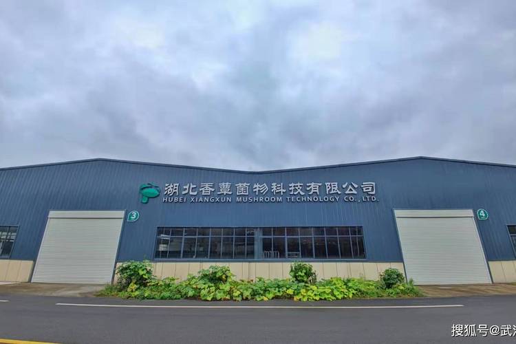 网络大v参观湖北香蕈菌物科技
